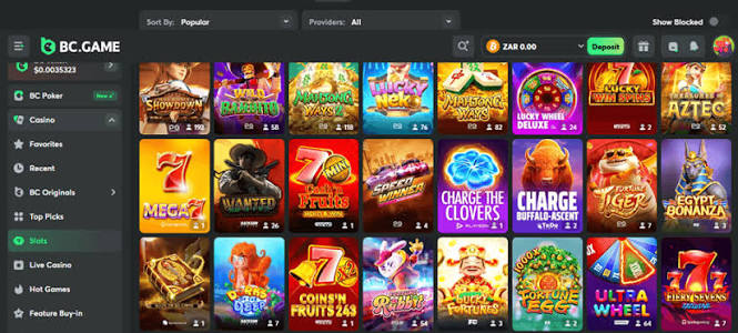 Exploring BC.Game The Rise of Crypto Gaming in Argentina